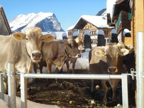 Agroturismo Kinderbauernhof