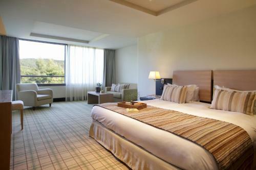 Hotel Porto Carras Sithonia