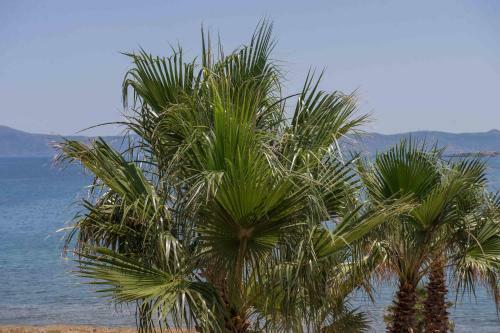 Hotel Balos Beach