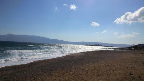Viglia Beach Apartments