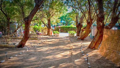 Camping Nopigia