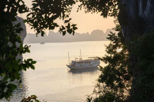 Garden Bay Luxury Cruise