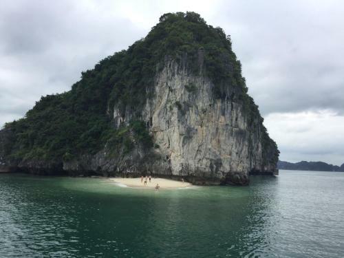 Flamingo Luxury Cruises