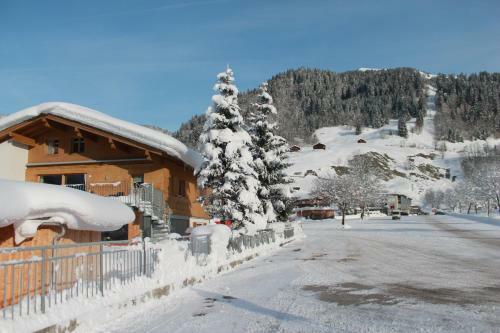 Apartamento Haus Diedams
