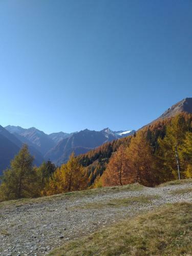 Hostal Haus Bergheimat