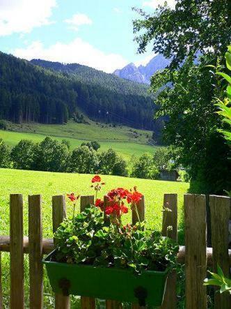 Apartamento Ferienwohnungen Obex