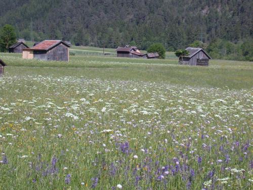 Agroturismo Banders Landhaus