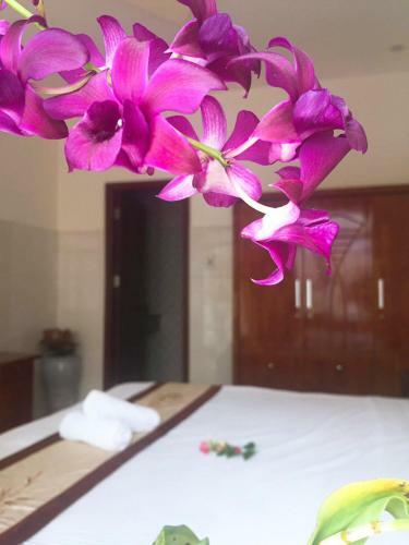 Holy Land Homestay