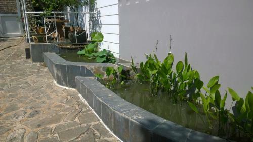 Bed & Breakfast Vung Tau Homestay