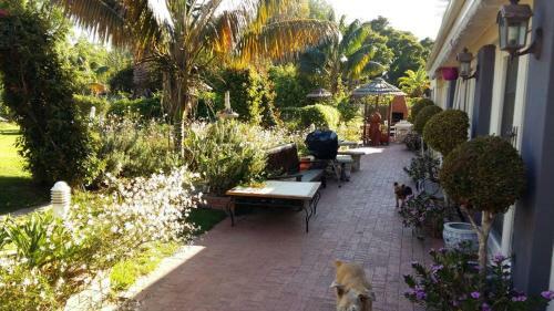Hostal Constantia Lazy River