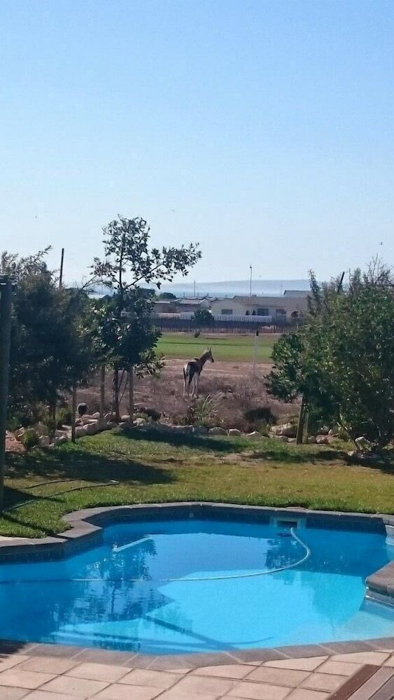 Bed & Breakfast Golfer's Retreat