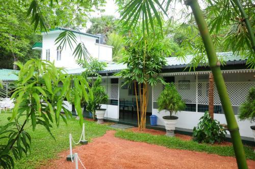 Hostal Levi's Tourist ? Anuradhapura