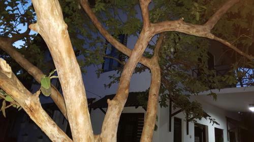 Hotel Sisilthera