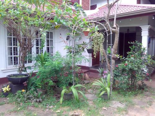 Nie Home Stay