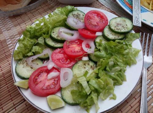 Shirin Home