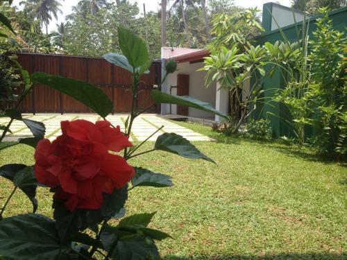 Hotel Thisara Villa