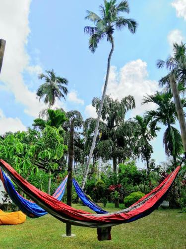 Hostal Your Dream Home - Mirissa