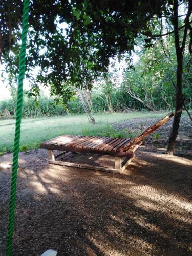 Hotel Sigiri Royal Point Tree House