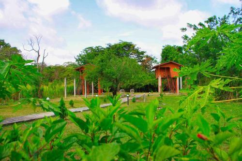Hotel Sigiri Royal Point Tree House