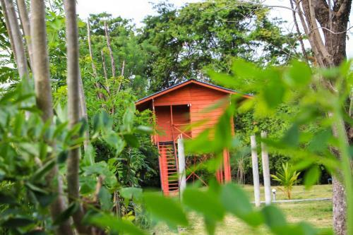 Hotel Sigiri Royal Point Tree House