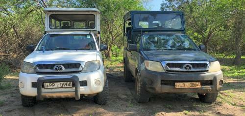 Hotel Yala Wild Safaris
