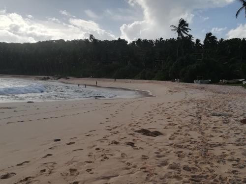 Lodge Star Beach Hotel