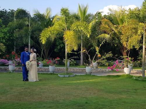 Hotel Dhammika Magic Palace