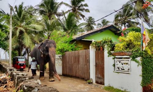 Hostal Beachhouse Wadduwa