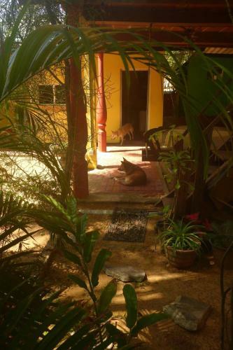 Hostal Beachhouse Wadduwa