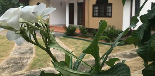 Hostal Magarita Leisure
