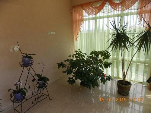 Apartamento Kolibri Guest House
