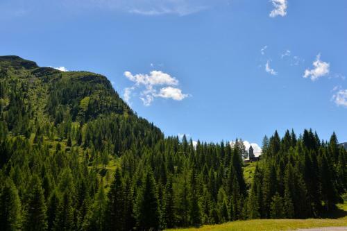 Alm Resort Nassfeld