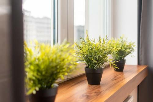 Smolna Apartments By Your Freedom