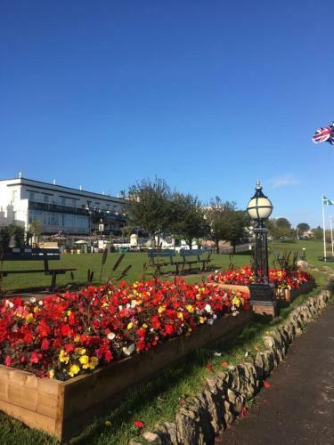 Bed & Breakfast The Downs, Babbacombe