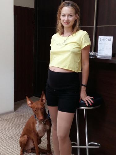 Hotel 12