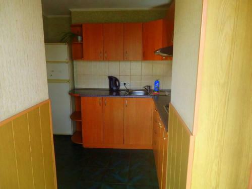 Furnished Apartments On Sovetskaya