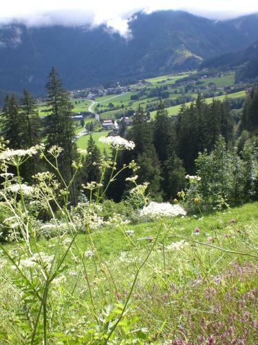 Hostal Gasthof Falkenstein