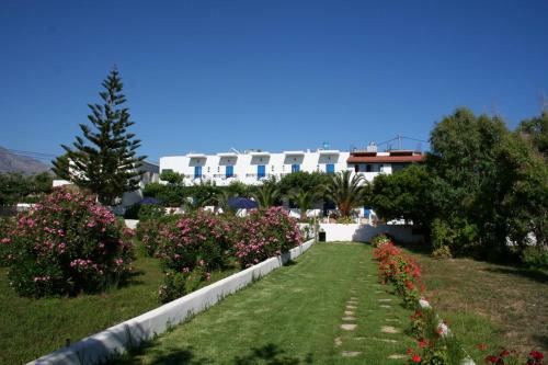 Oasis Apartments
