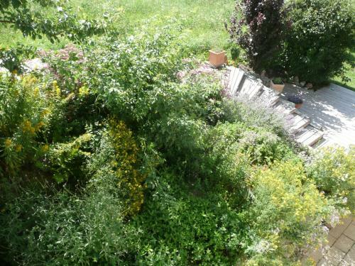 Apartamento Gro�glocknerappartement