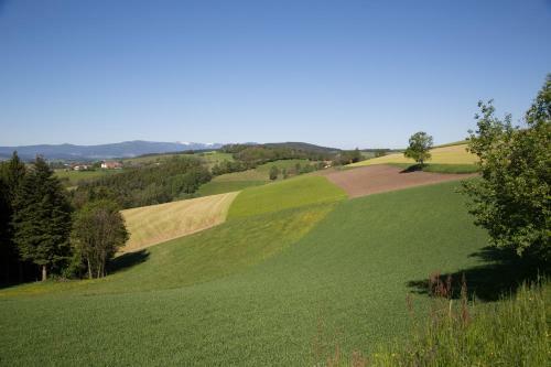 Posada Krumbacherhof