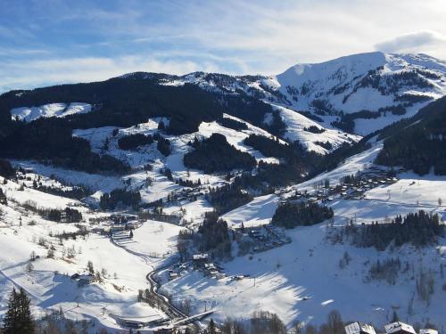 Apartamento Panorama Appartement Maria Alm