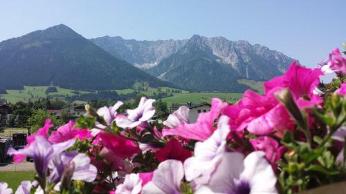 Hostal G�stehaus Fahringer