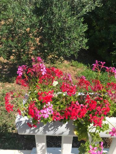Hostal Guesthouse Davorka Bijeli?