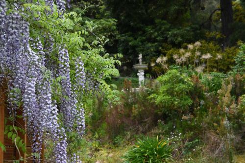 Yarra Ranges Country Apartment