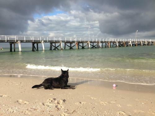Semaphore Sand N Sea - Pet Friendly