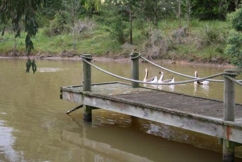 Agroturismo Rangers Run Cottages