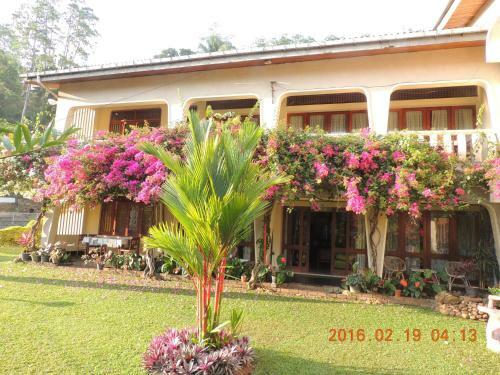 Hostal Royal Tourist Lodge
