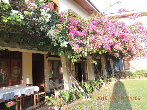 Hostal Royal Tourist Lodge