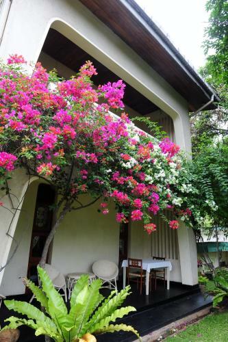 Hostal Royal Tourist Lodge