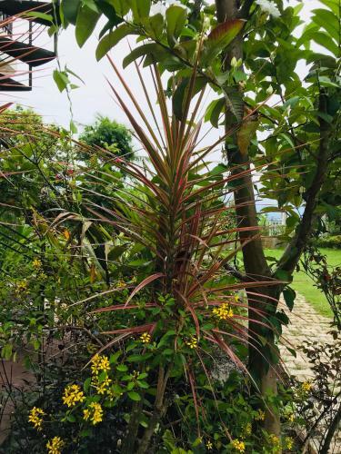 Bed & Breakfast Spica Holiday Home